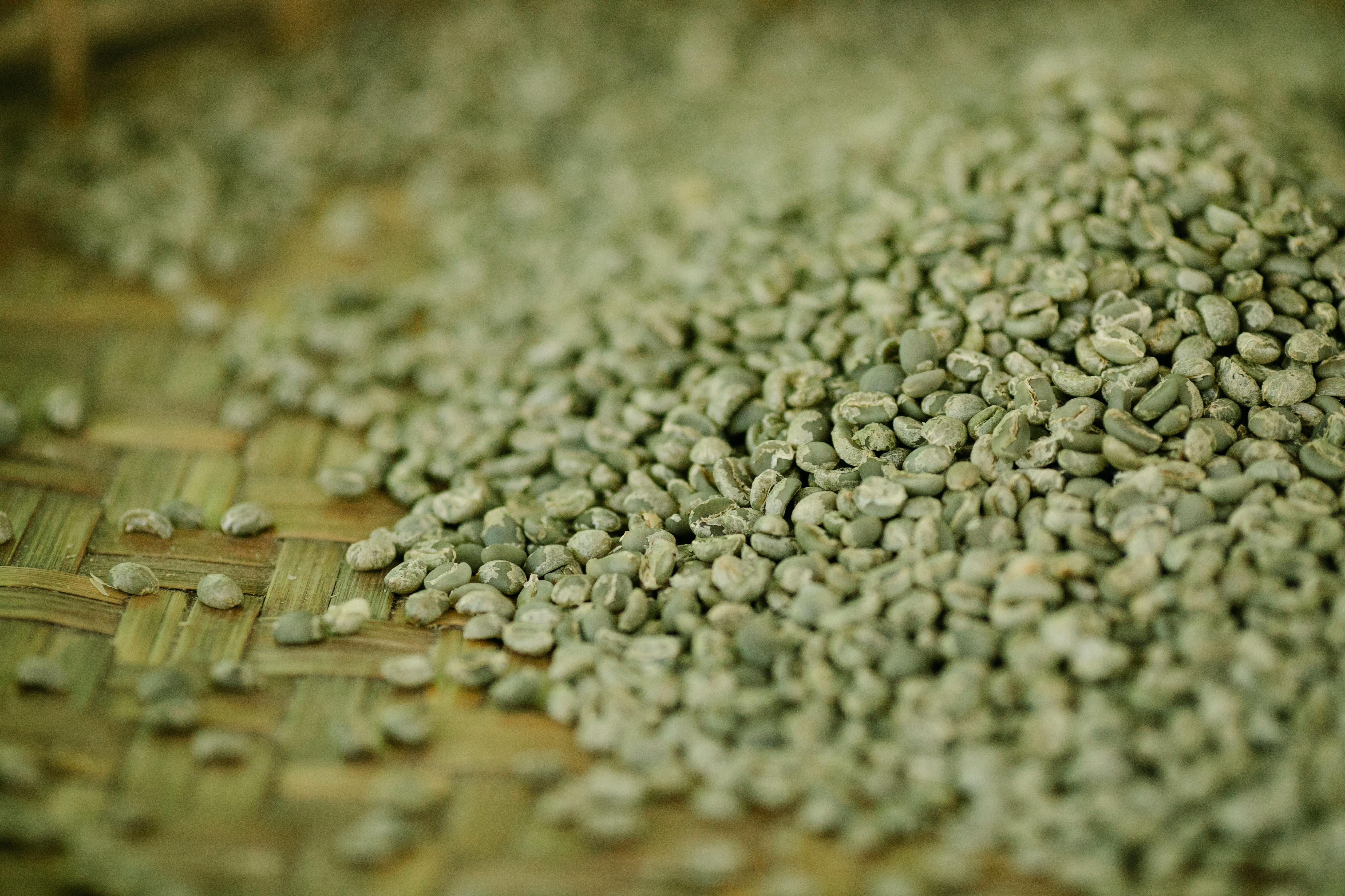 Ancient Grains Recipe Book